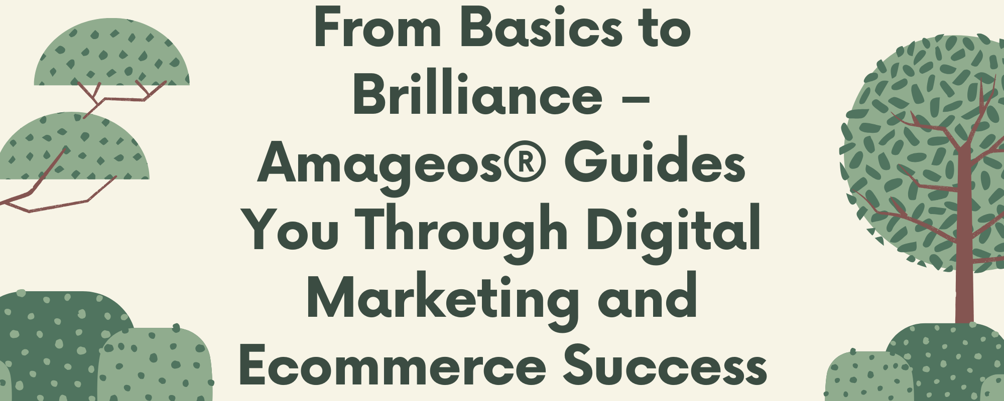 Ecommerce and Digital marketing learning class with Amageos