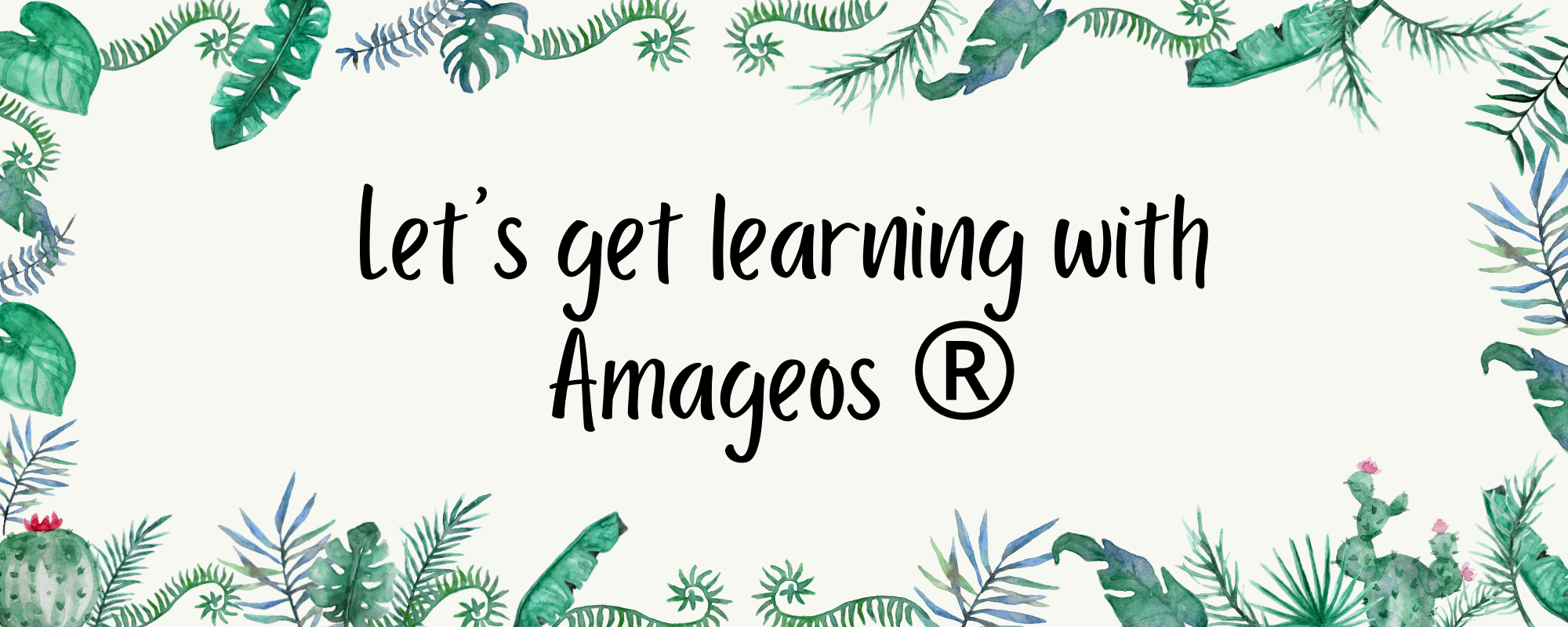 Ecommerce and Digital marketing learning class with Amageos