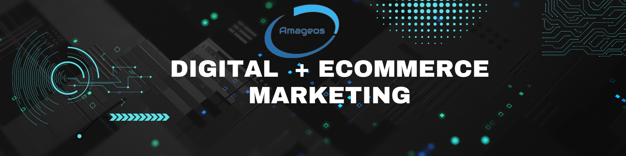 DIGITAL and ECommerce MARKETING with Amageos